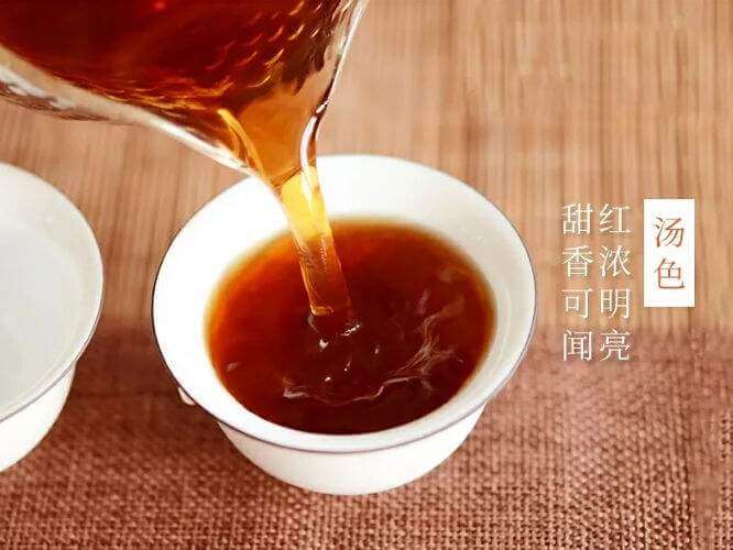 束氏茶界加盟费用