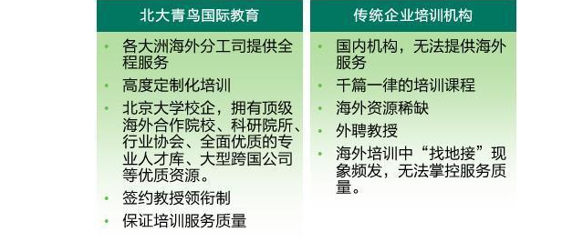 北大青鸟国际教育加盟优势